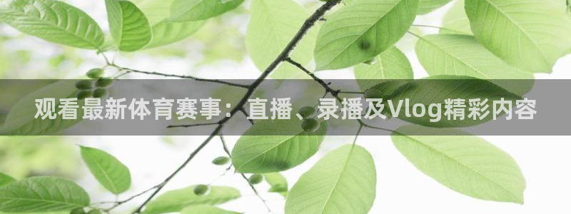 观看最新体育赛事：直播、录播及Vlog精彩内容
