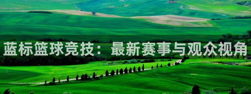 蓝标篮球竞技：最新赛事与观众视角