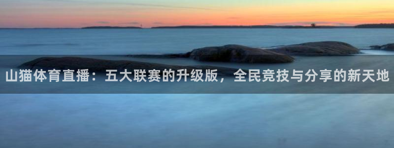山猫体育直播：五大联赛的升级版，全民竞技与分享的新天地