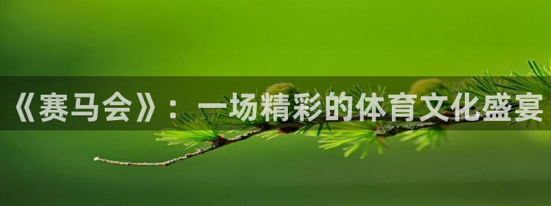 《赛马会》：一场精彩的体育文化盛宴