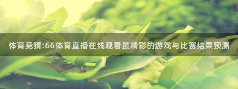 体育竞猜:66体育直播在线观看最精彩的游戏与比赛结果预测