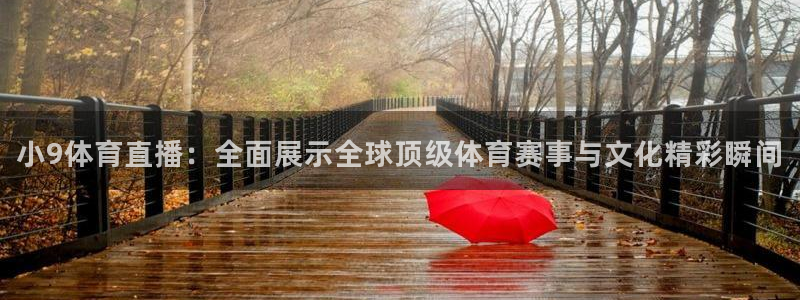 小9体育直播：全面展示全球顶级体育赛事与文化精彩瞬间