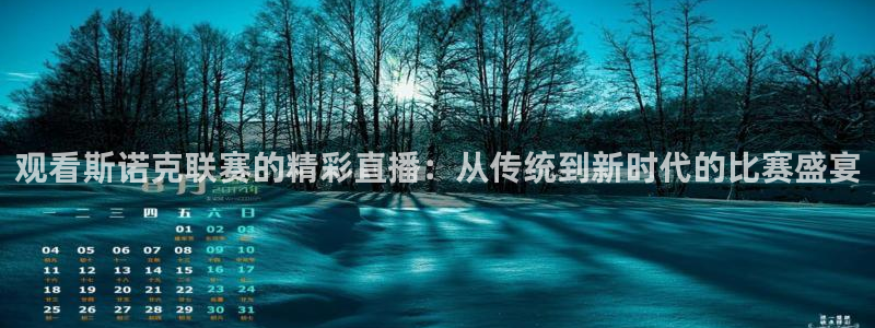 观看斯诺克联赛的精彩直播：从传统到新时代的比赛盛宴