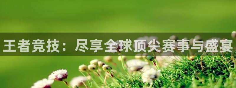 王者竞技：尽享全球顶尖赛事与盛宴